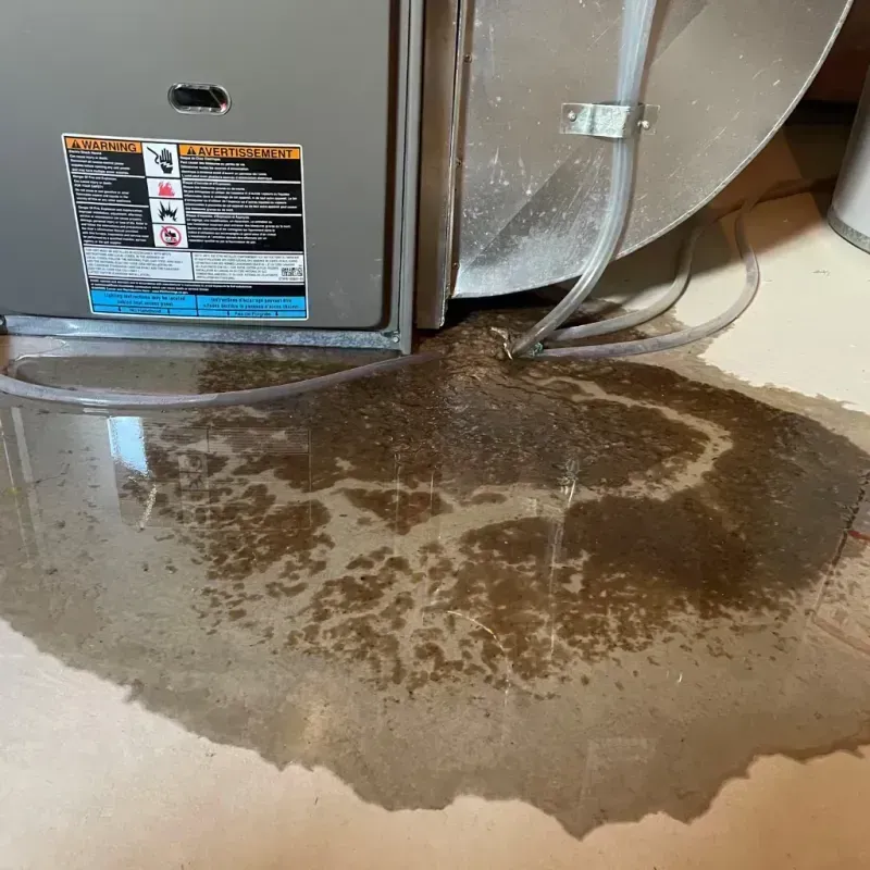 Appliance Leak Cleanup in Florida, PR